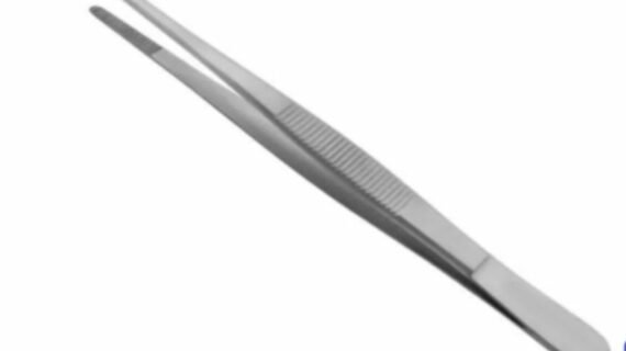 Thumb Dressing Forcep, Plain, 5.5 Inch