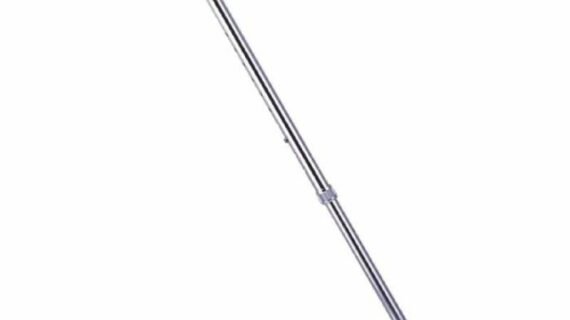 Walking Stick, Cane